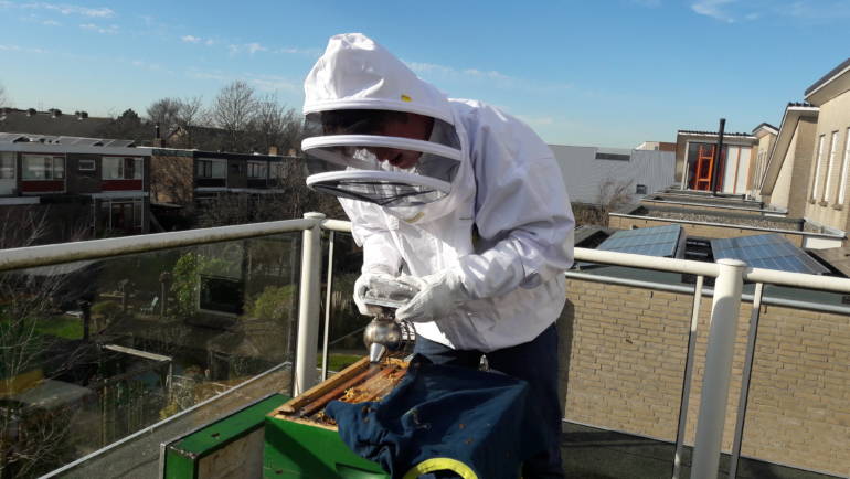 Inspectie van de bijenkast