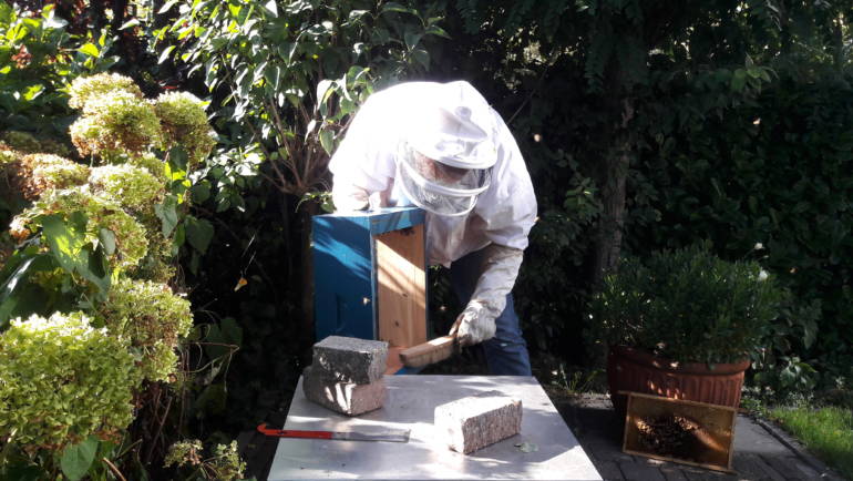 Bijenkasten winterklaar maken